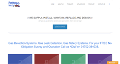 Desktop Screenshot of panthergasdirect.com